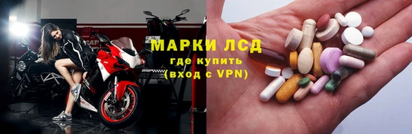 мяу мяу мука Бородино