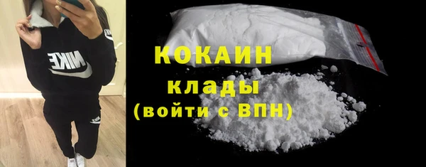 дурь Бронницы
