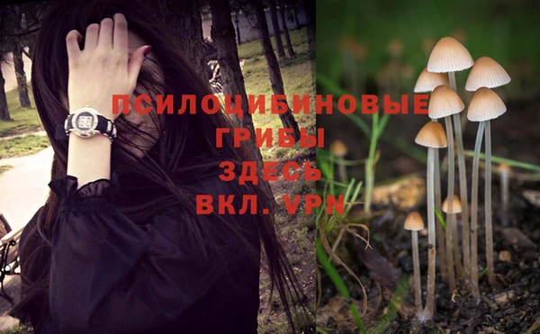 мяу мяу мука Бородино