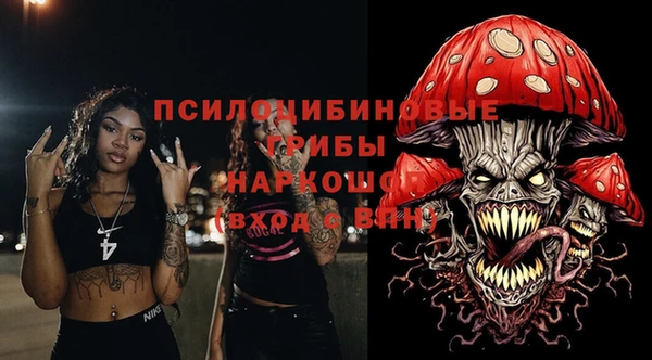 дурь Бронницы