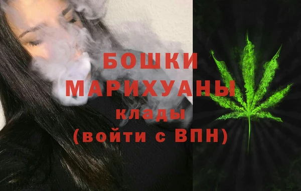 дурь Бронницы