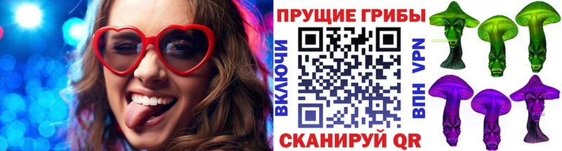 Купить  Невинномысск  Псилоцибиновые грибы Cubensis 