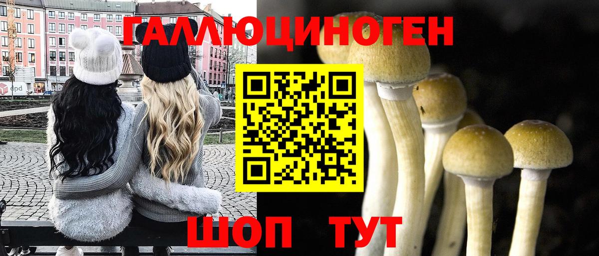 Невинномысск  Галлюциногенные грибы мухоморы  Вход с VPN 