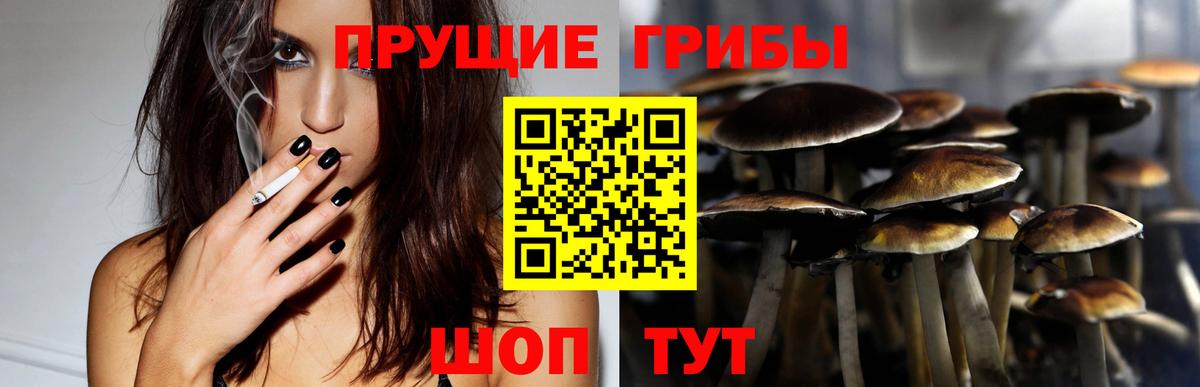 Галлюциногенные грибы Magic Shrooms  купить наркоту  Невинномысск 